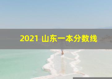 2021 山东一本分数线